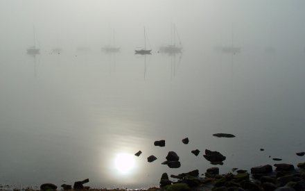 Bristol RI harbor in morning fog