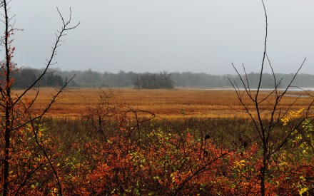 Bittersweet and salt flats